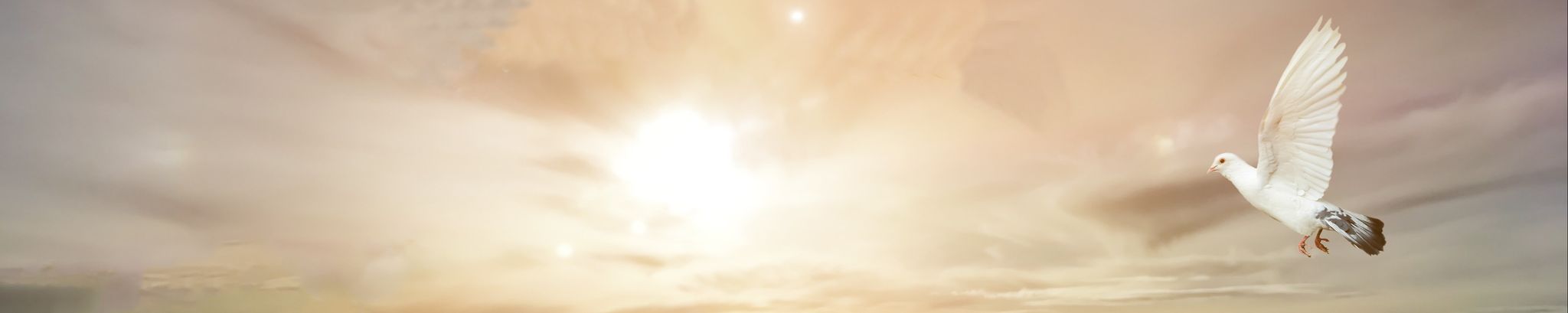 Cover photo for Beverly Anne Buell's Obituary