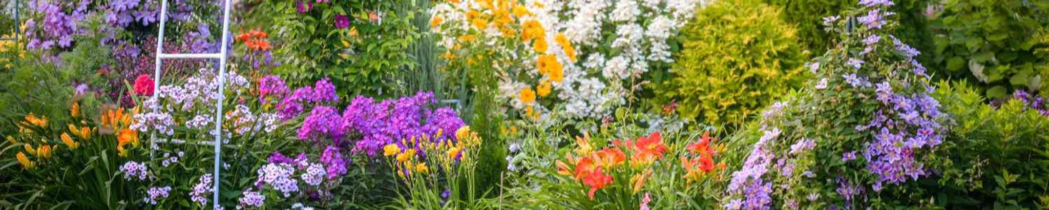 Cover for Shelby Jean Bullard Shook's Obituary