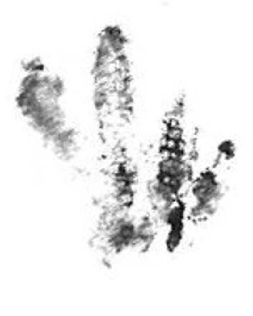 Cooper Koengi Profile Photo