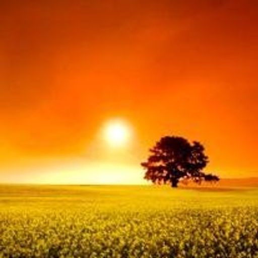 Lance Rewis Profile Photo
