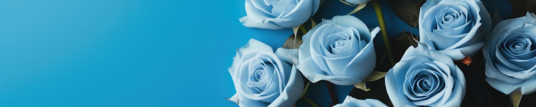 Cover photo for Pamela "Pam" Lorraine Rael's Obituary