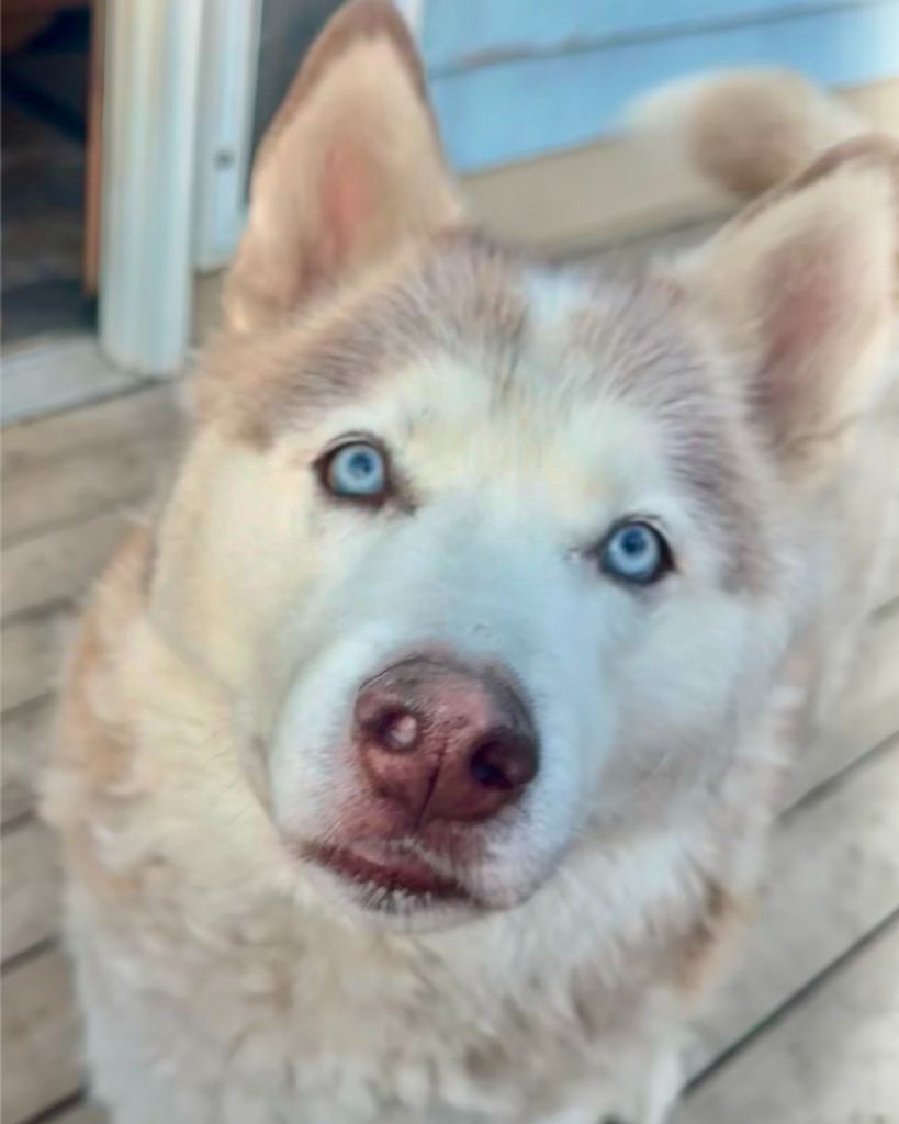 Ezra "Ezzy Bear" Profile Photo