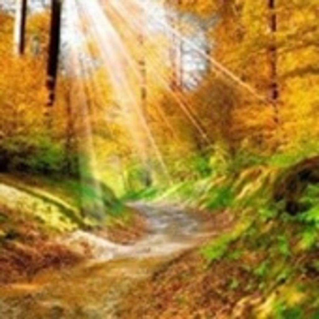 Gerald Jerome Monroe