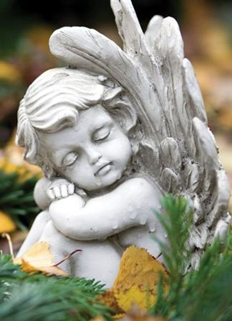 Pauline Wood Gray Profile Photo