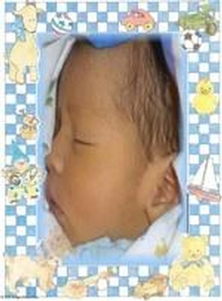 Eliseo A. Steele-Comes Killing