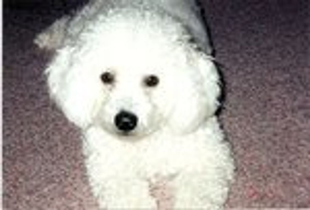 Buffy Snowhite Townsend