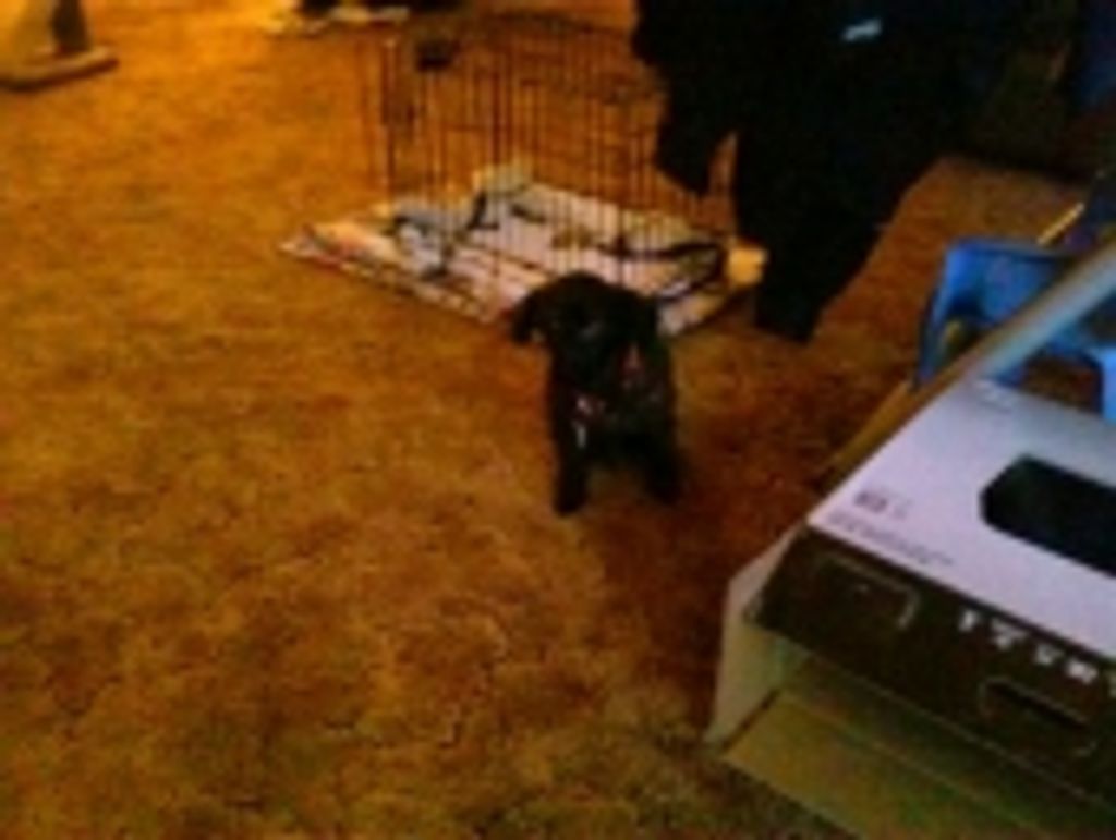 Gunner Yaunke Profile Photo