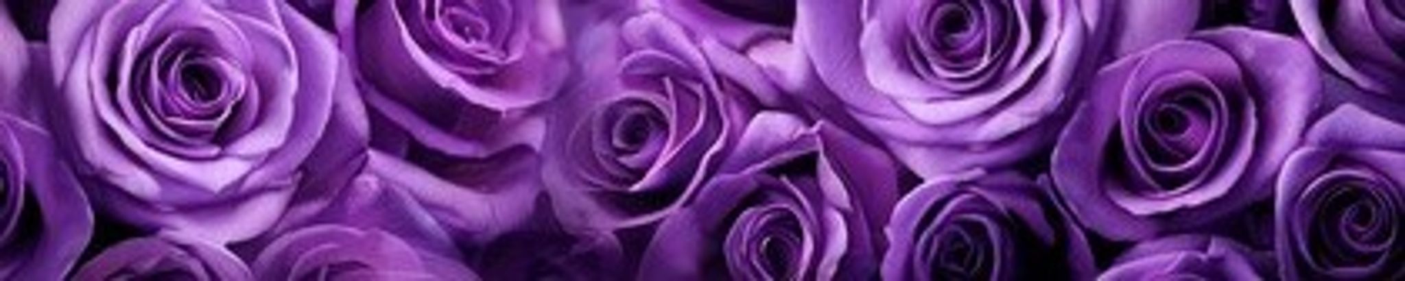 Cover for Hannah Taylor's Obituary