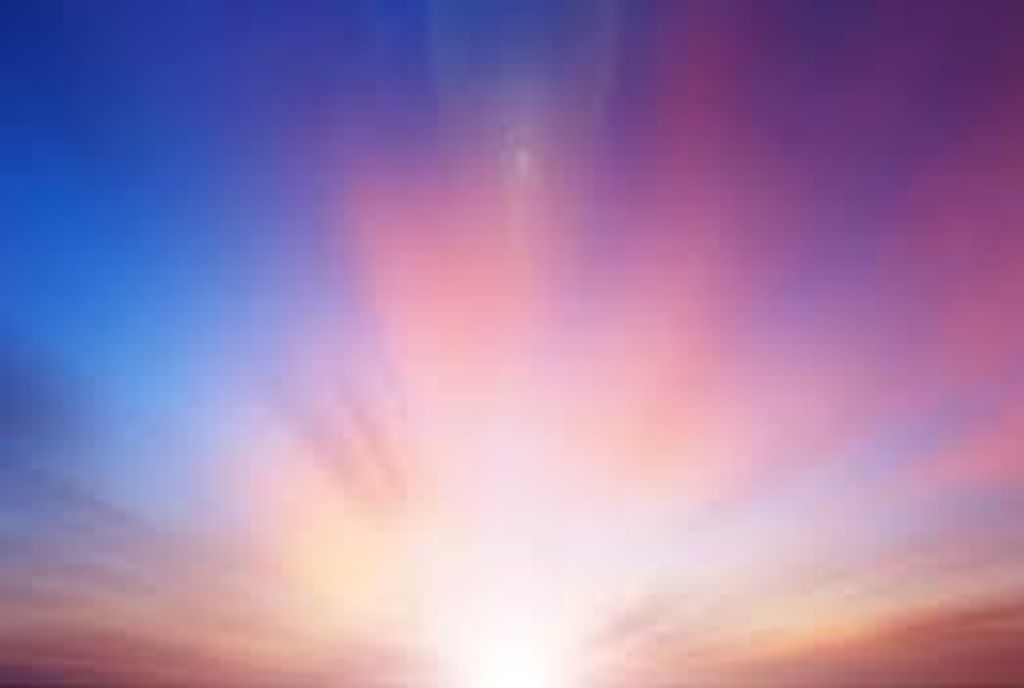 Michael Bruce Mccall