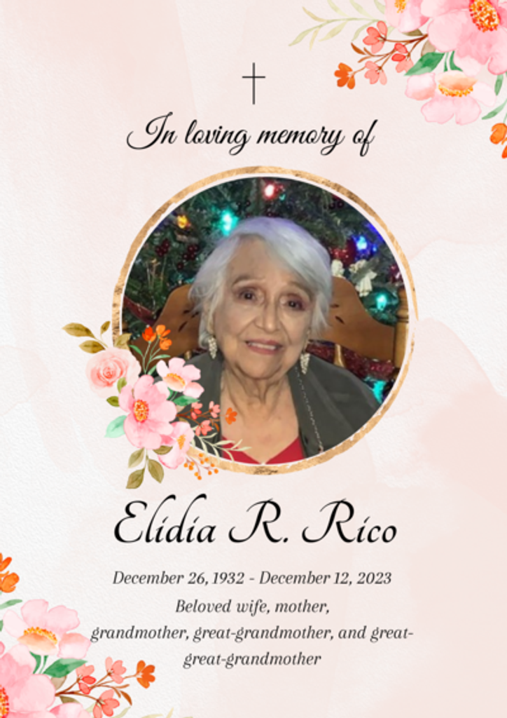 Elidia R. Rico