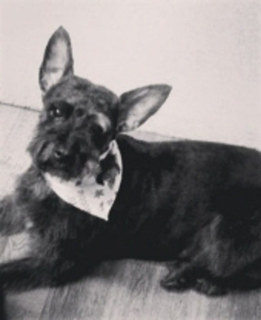 Toto Paz-Sefcik Profile Photo