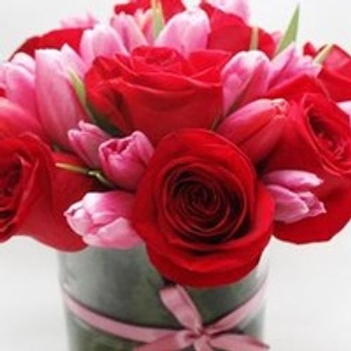 Sara Phelps's obituary image