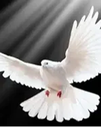Randie Jones's obituary image