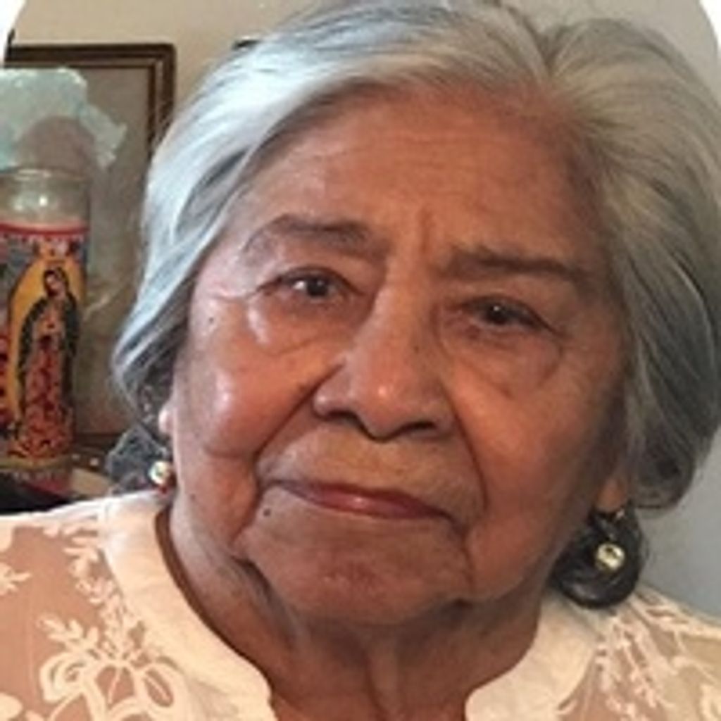 Elisa  V. Garcia
