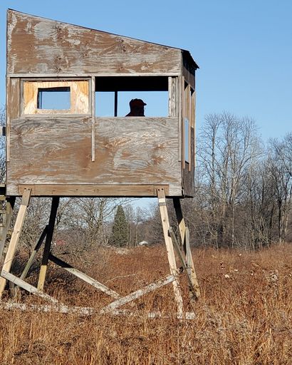 Donald F Schmoll Profile Photo