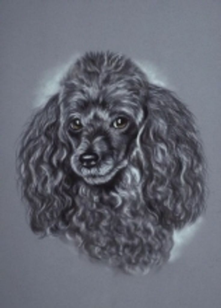 Baxter Havens Profile Photo