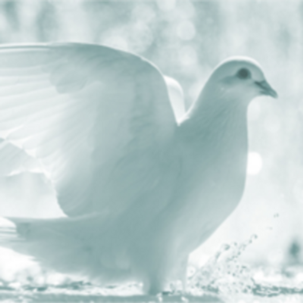 Margaret Sarah Salmorin