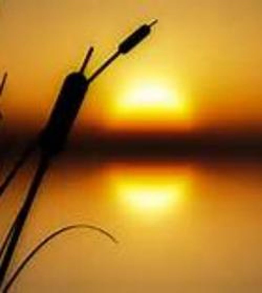 Charles William Knight