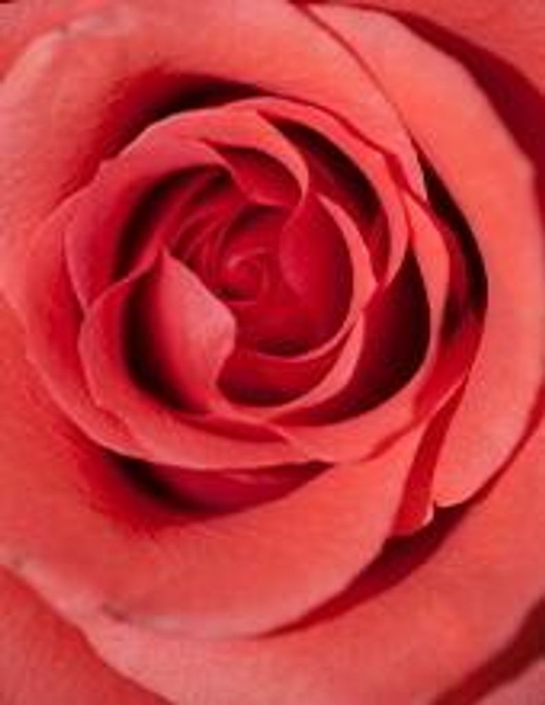 Nancy Marie Castillo