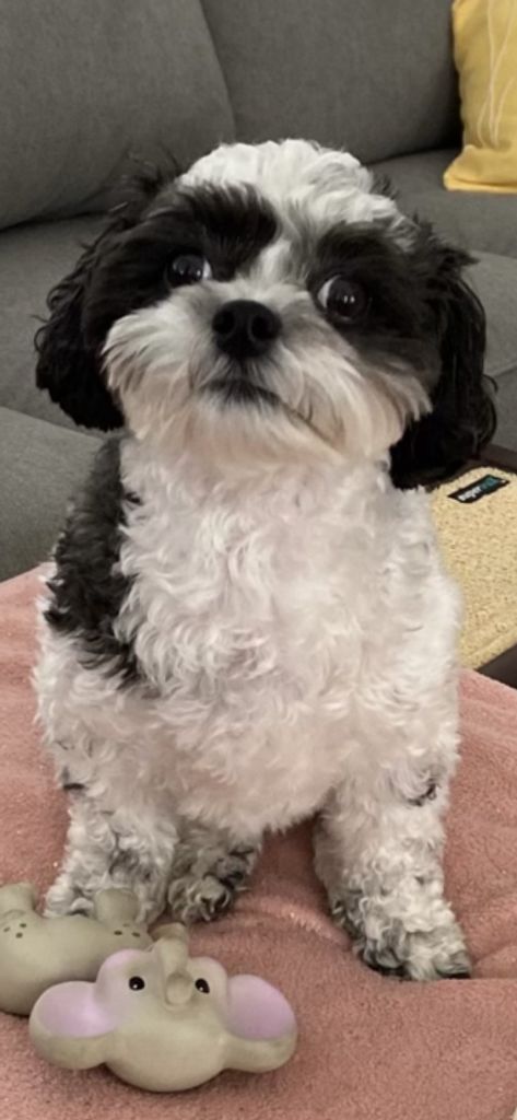 Gracie Jane Sherertz Profile Photo