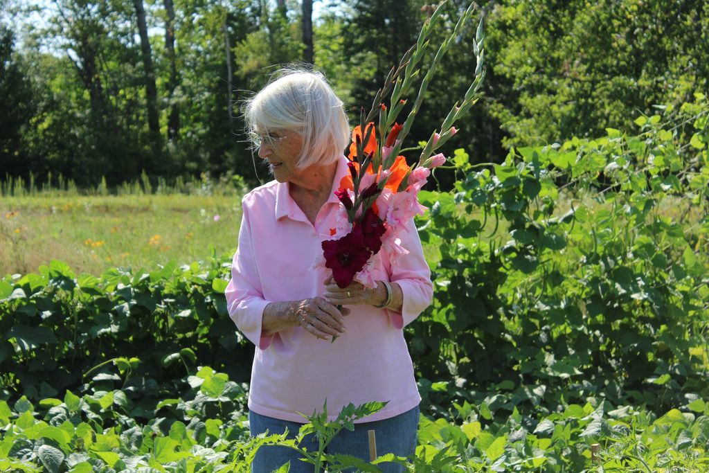 Joan Brickett Profile Photo