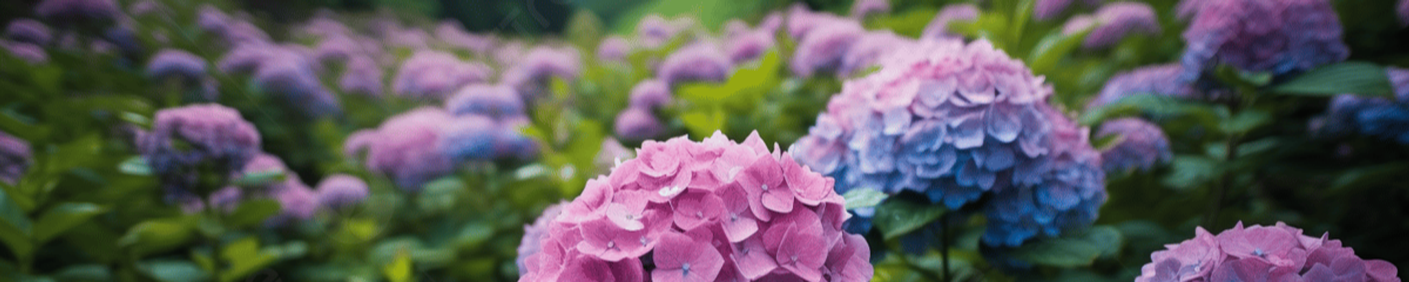 Cover photo for Kaylea Nichole Smathers's Obituary
