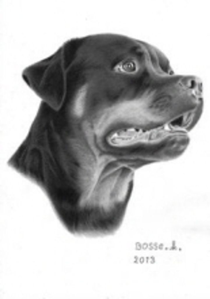 Pepper Smitko Profile Photo