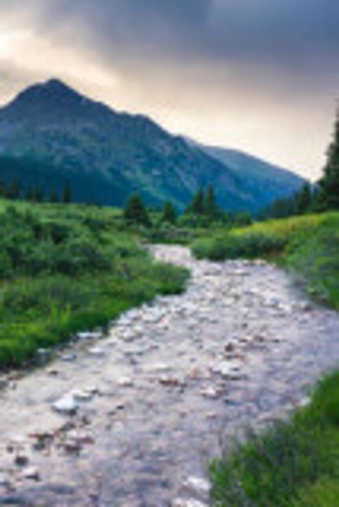 Dennis Martin Profile Photo