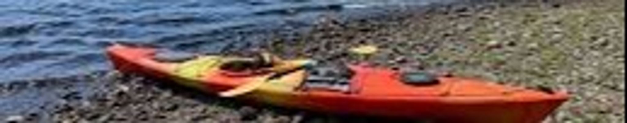 Cover for Madison Ferne Phillips's Obituary