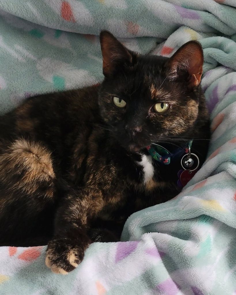 Sadie Kidd Profile Photo