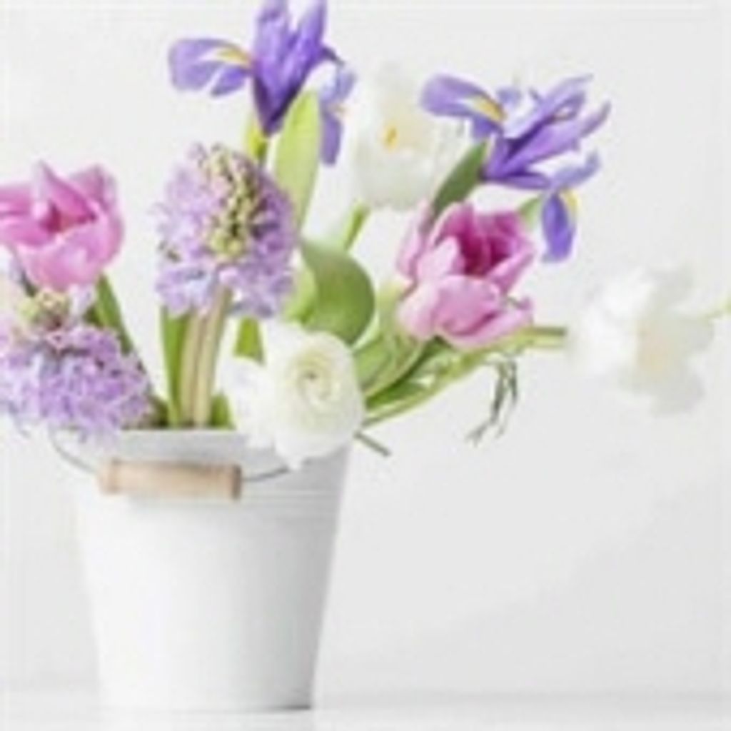 Candy Darlene Anderson