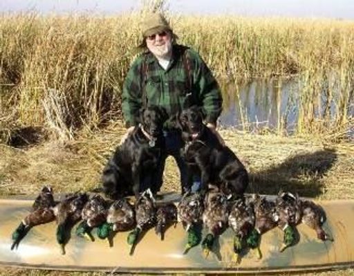 Kenneth A. Berg Profile Photo