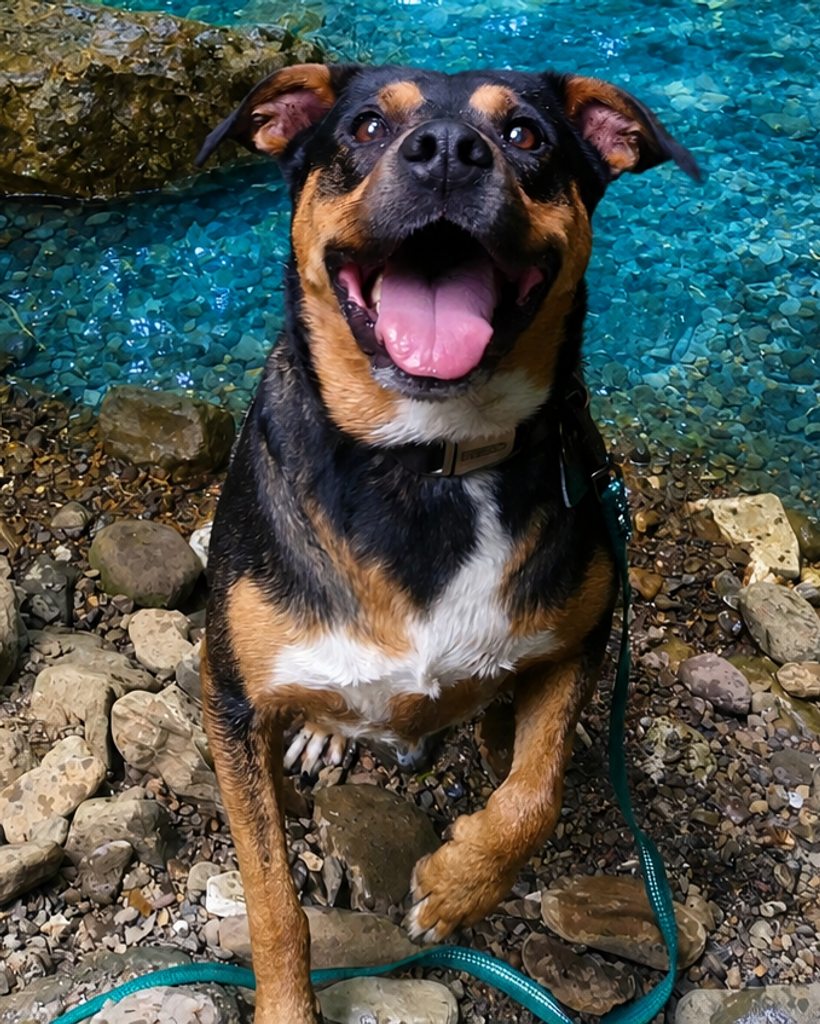 Obi Thornton Profile Photo