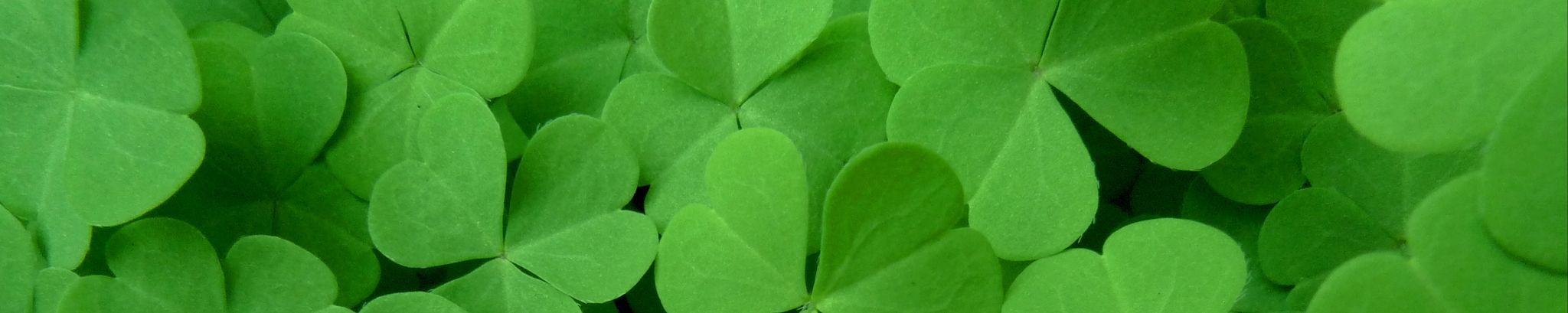 Cover for Daniel T. Murphy, Sr.'s Obituary