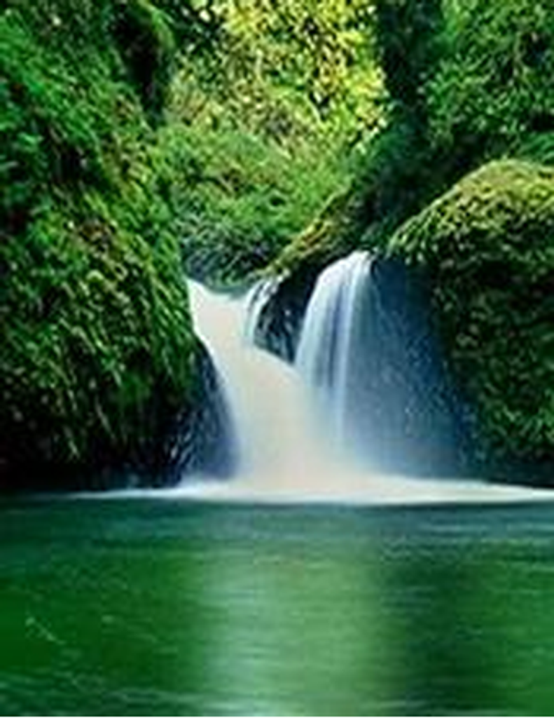 Seckress Farrell Owen