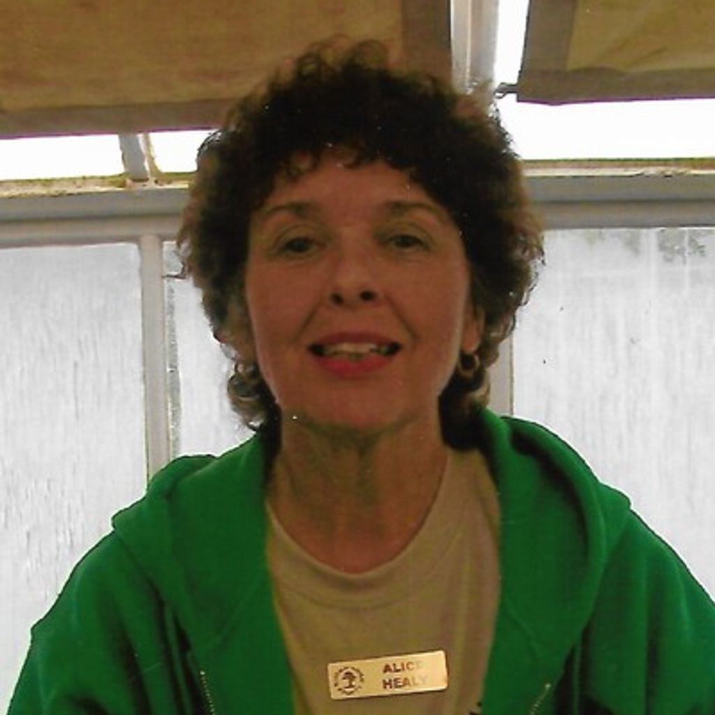Alice A. Healy Profile Photo