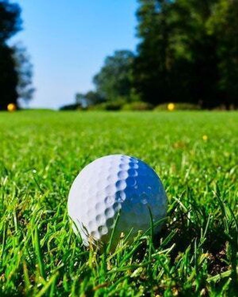 Mario J Forbidussi Profile Photo