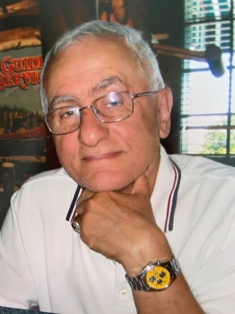 Ahmad Poureshmenantalemy