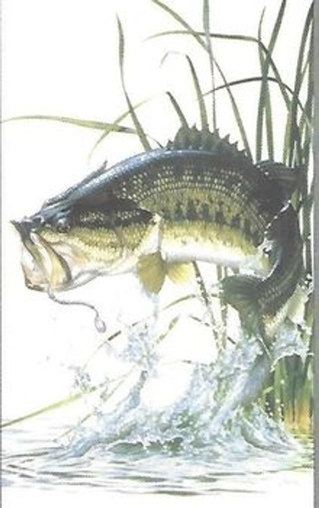 Carroll Belin Profile Photo