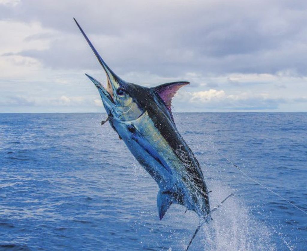 Irwin Bernard Goldberg