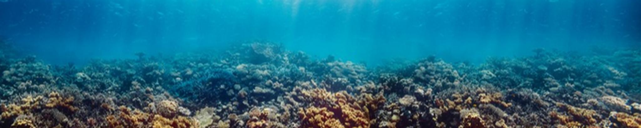 Cover for William "Bill" Joseph Denault's Obituary