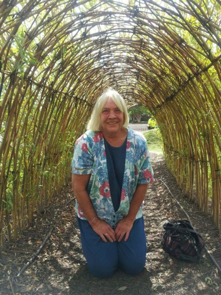 Patricia A. (Barker)  Van Meter