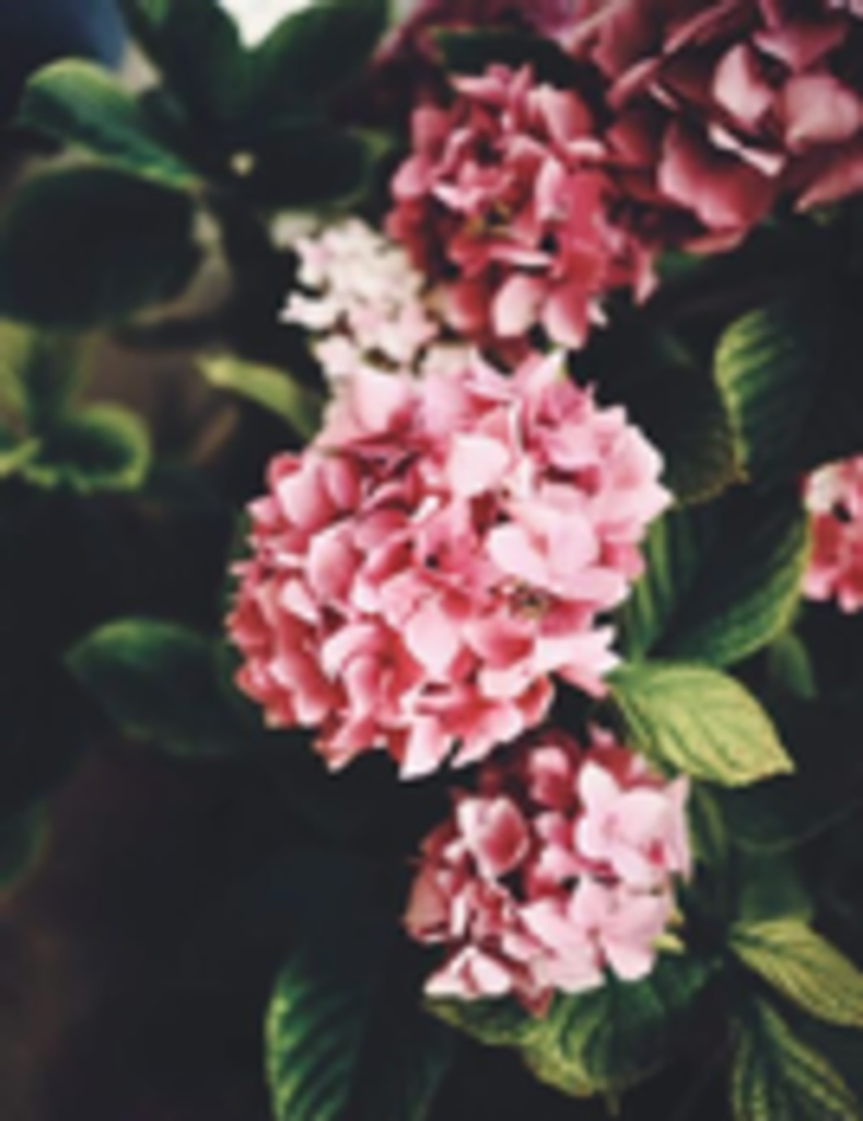 Baby Girl Kelis Barnwell