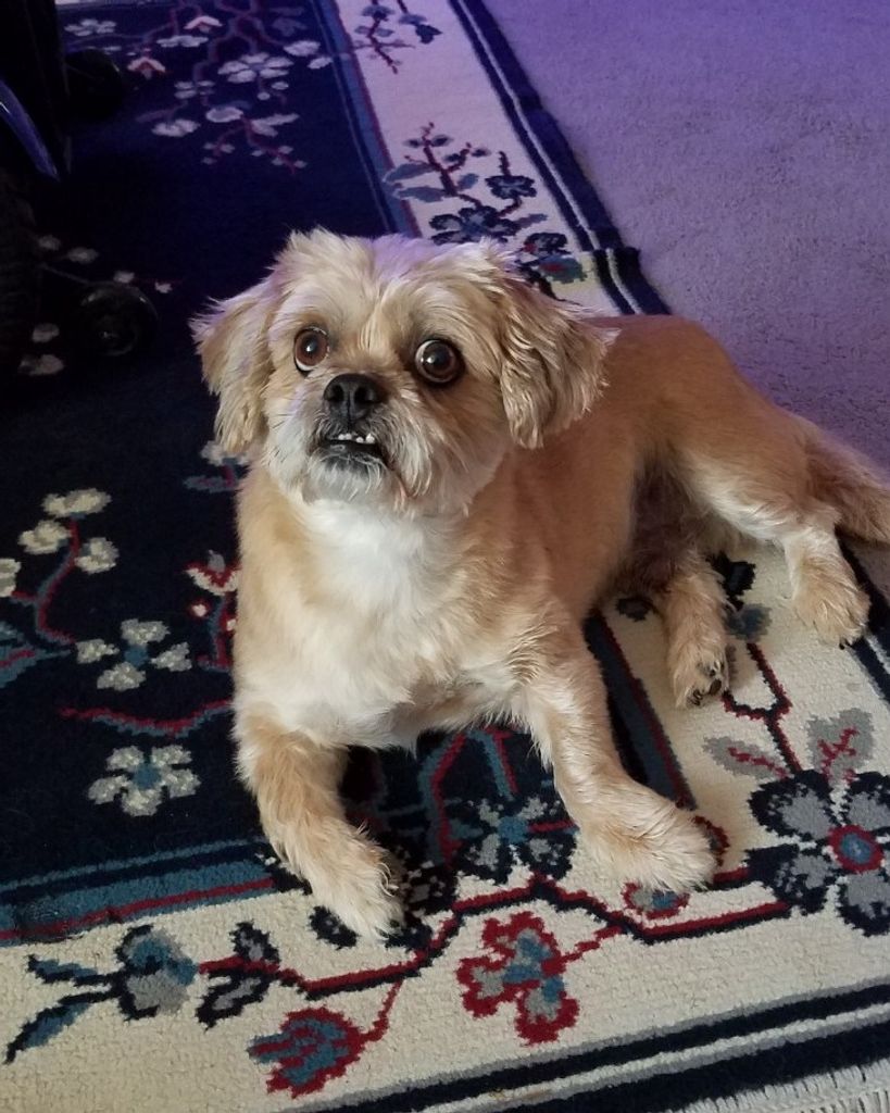 Todd Vinson Profile Photo