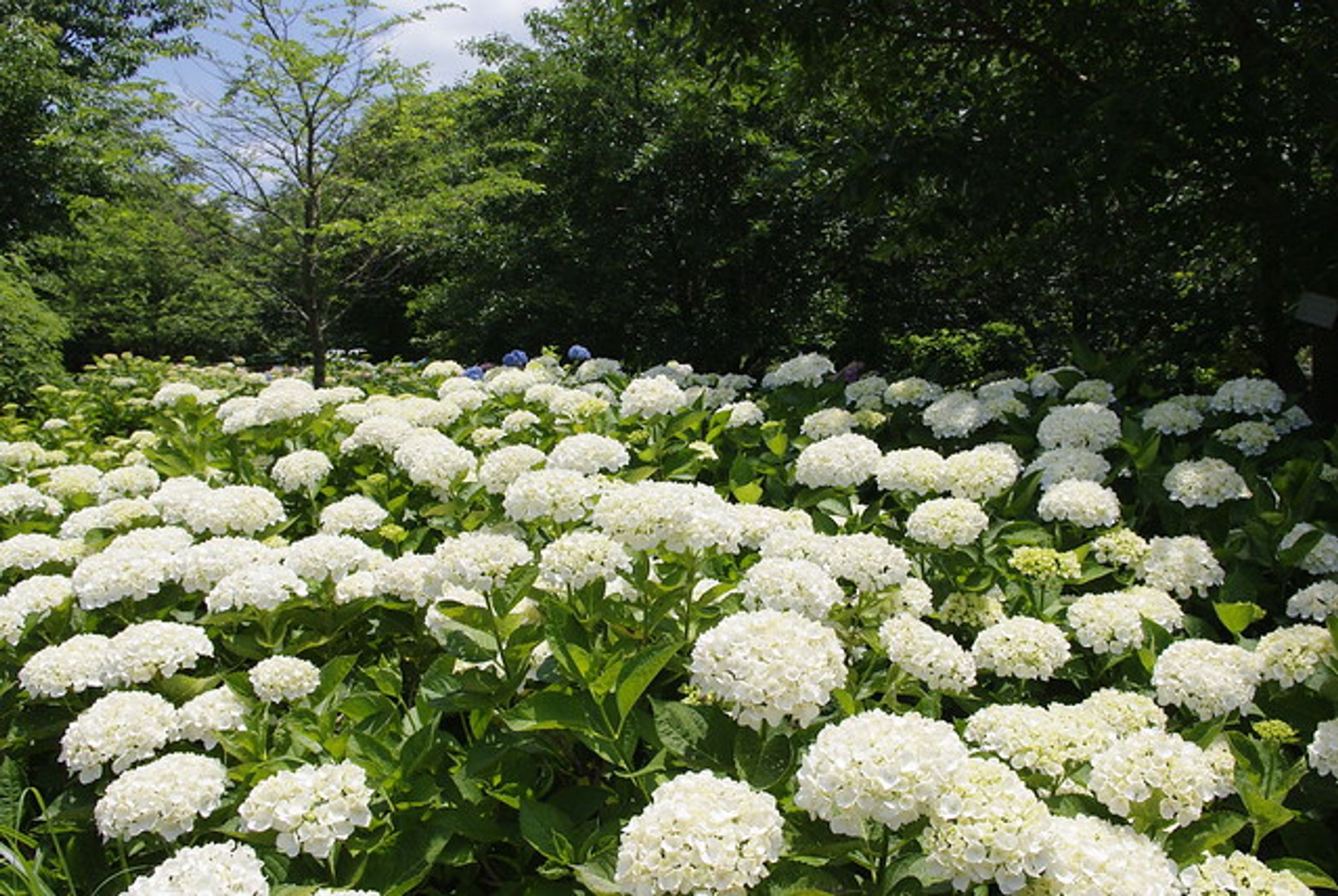 Cover photo for Christopher M. Spencer's Obituary