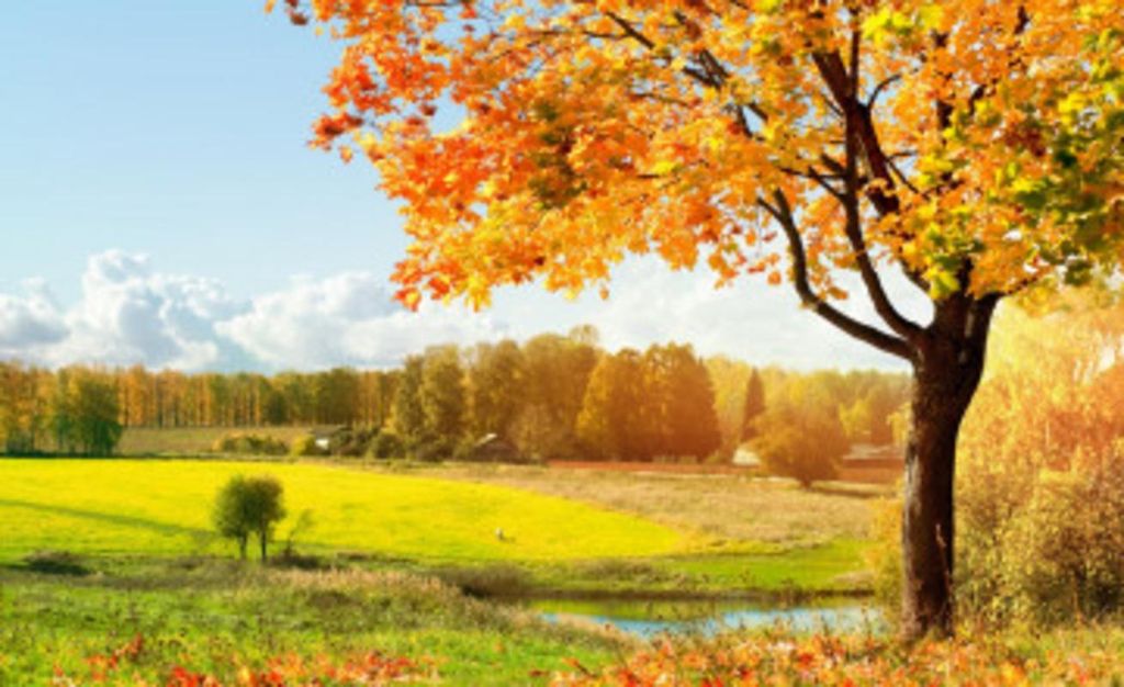 Jay Edward Mcfadden Profile Photo