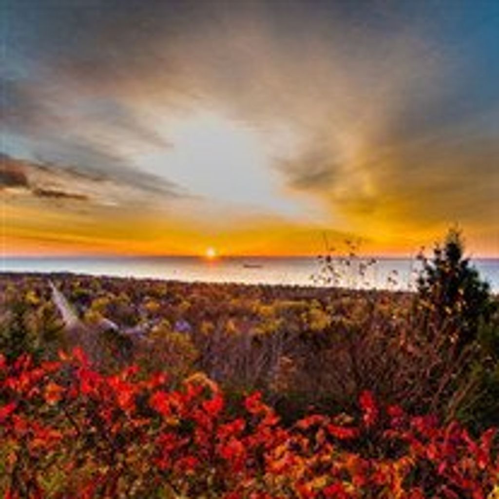 Allan "Zeke" Robert Tabelle