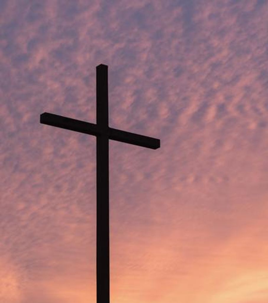 Laurette Boutros Bouramia Profile Photo