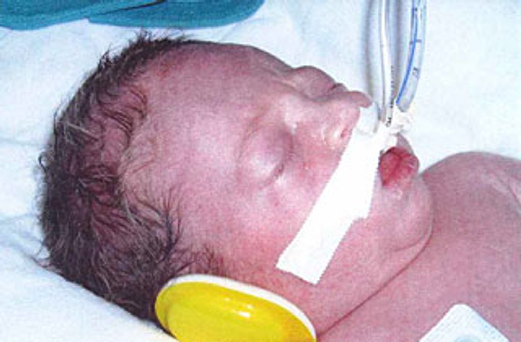 Logan Thomas Simmonds Profile Photo