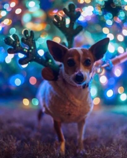 Hershey's Razo Manzanares ?'s obituary image